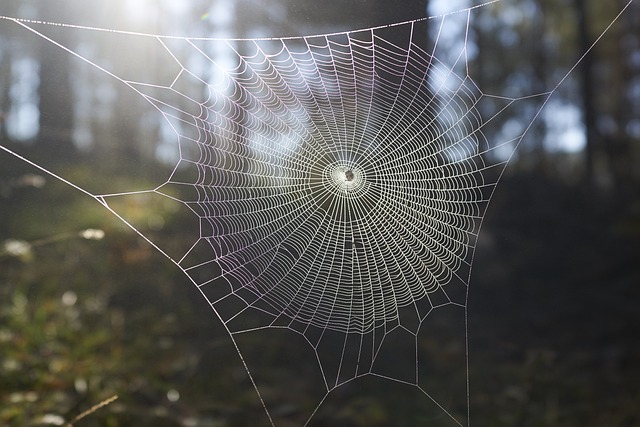 web