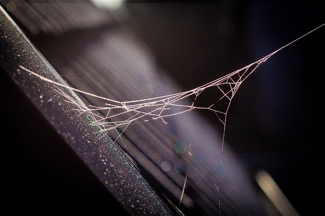 web