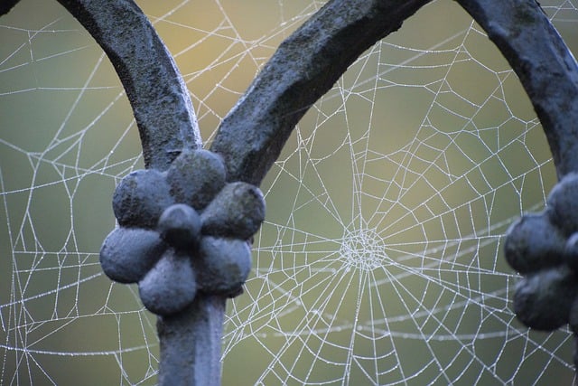 web